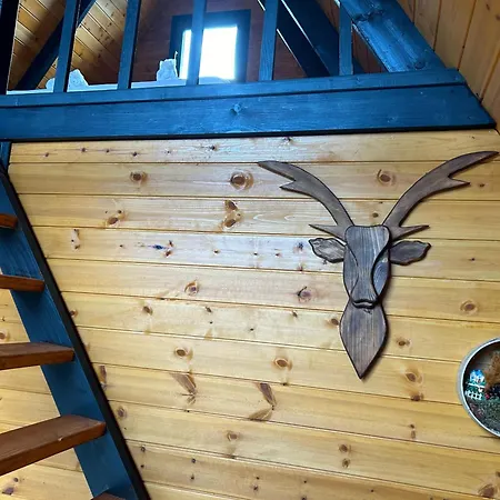 Mira Trabzon