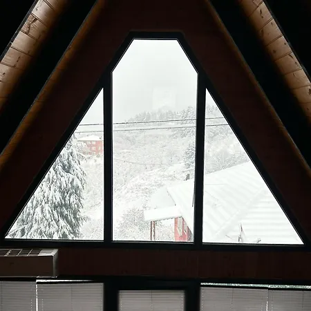 Mira Domek alpejski *