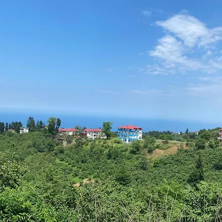 Mira * Trabzon